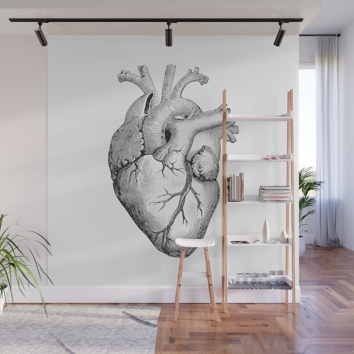 700x700 real anatomical human heart drawing wall mural - Real Human Heart Drawing