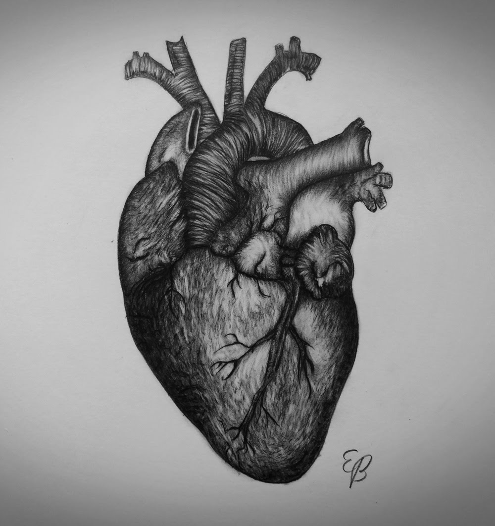 1000x1062 Heart Drawing Free Download - Real Human Heart Drawing