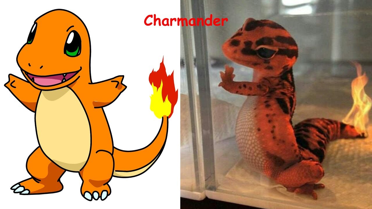 1280x720 pokemon in real life pokemon characters as monsters - Real Life Pokemon Drawings