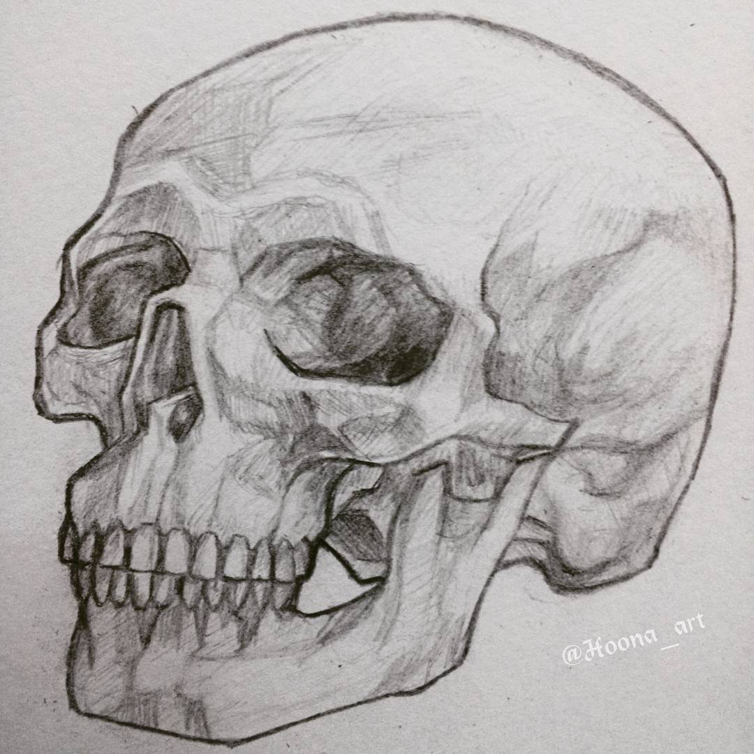 1080x1080 Hoona Ae Art - Real Skull Drawing
