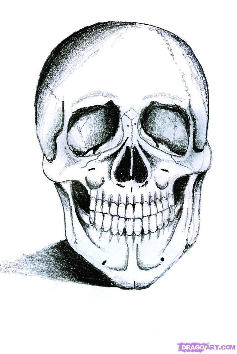 787x1178 How To Draw A Realistic Skull, Step - Real Skull Drawing