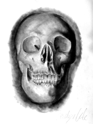 320x423 Liked Drawings - Real Skull Drawing