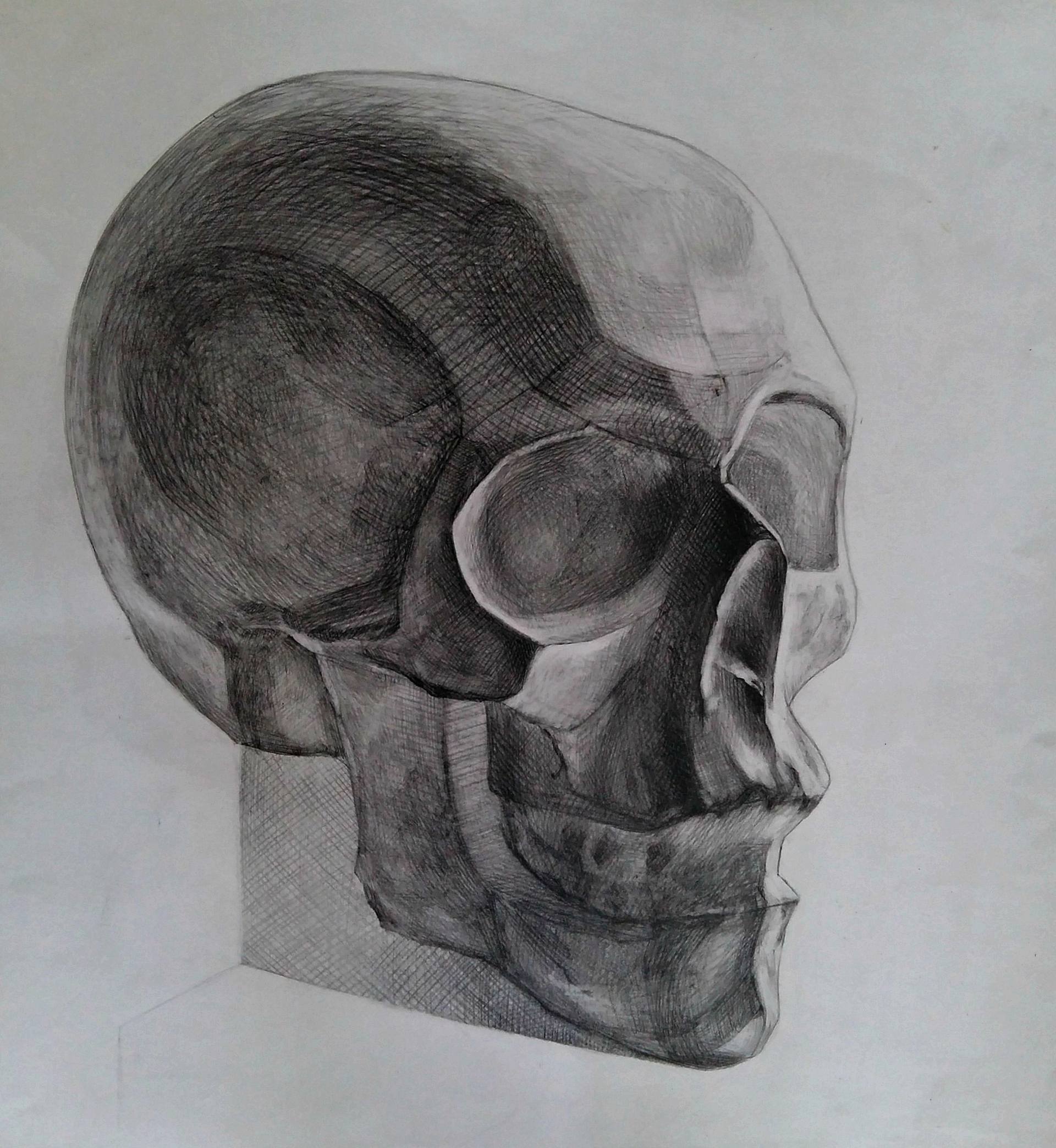 1920x2087 Skull Drawing - Real Skull Drawing