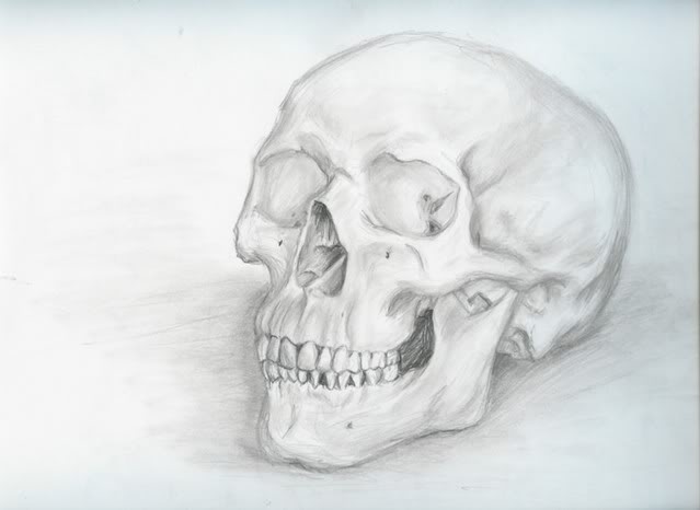 639x466 Art Constructed Skull Vs Real Skull - Real Skull Drawing