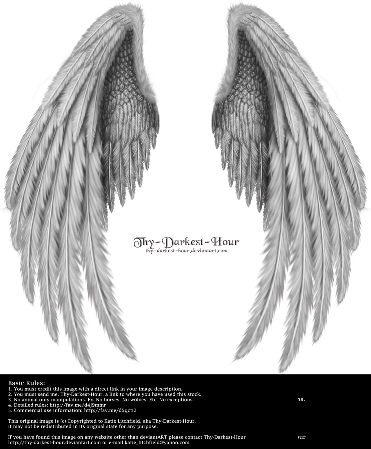 Realistic Angel Wings Drawing at Explore