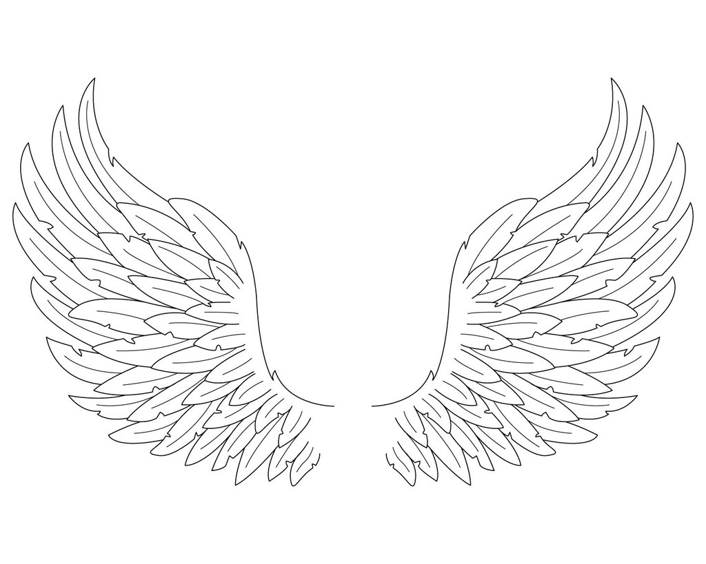 Realistic Angel Wings Drawing at PaintingValley.com | Explore