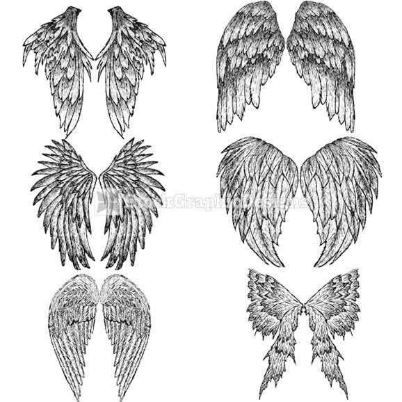 578x578 how to draw feathered wings hand drawn wings vector illustration - Realistic Angel Wings Drawing