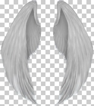 Realistic Angel Wings Drawing At Paintingvalley Com Explore