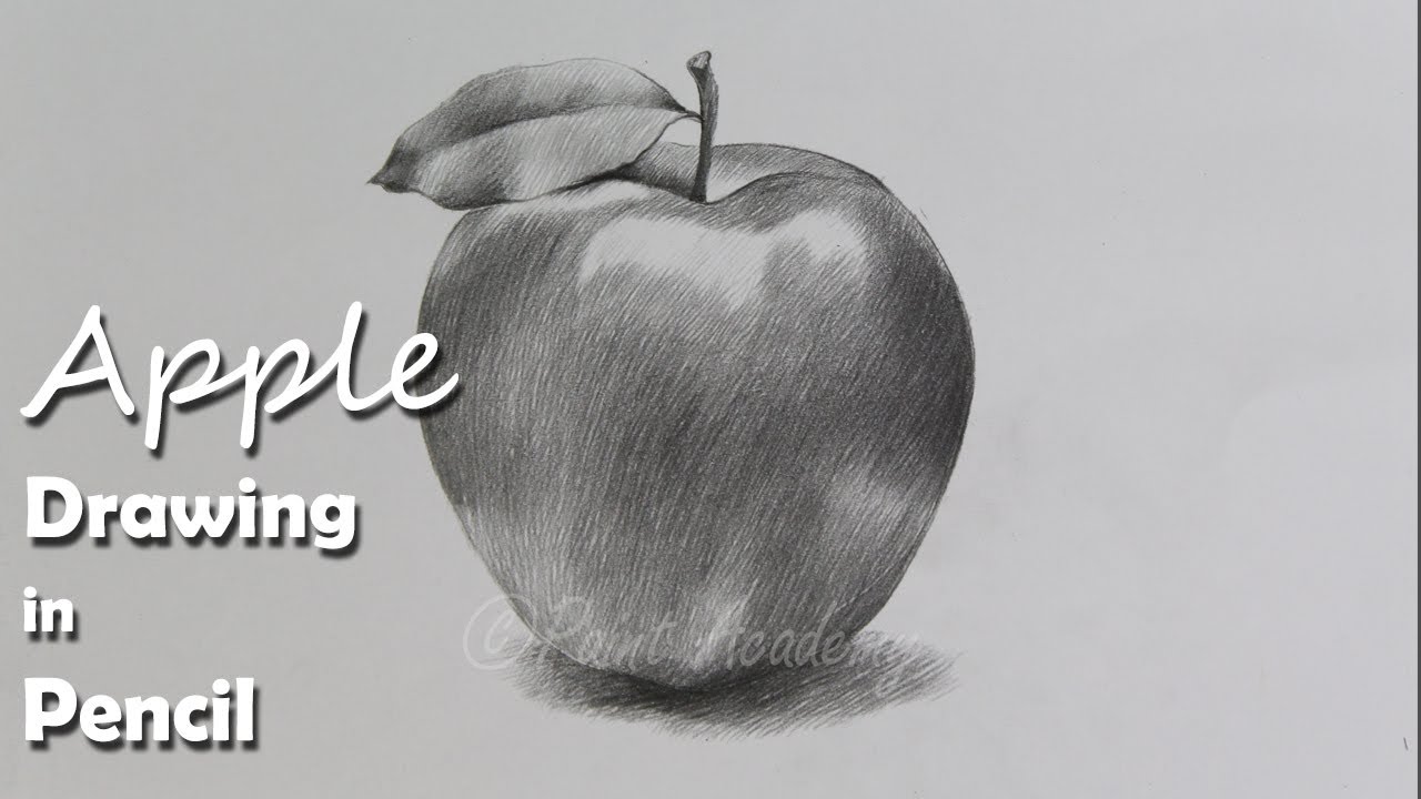 1280x720 how to draw an apple in pencil step - Realistic Apple Drawing