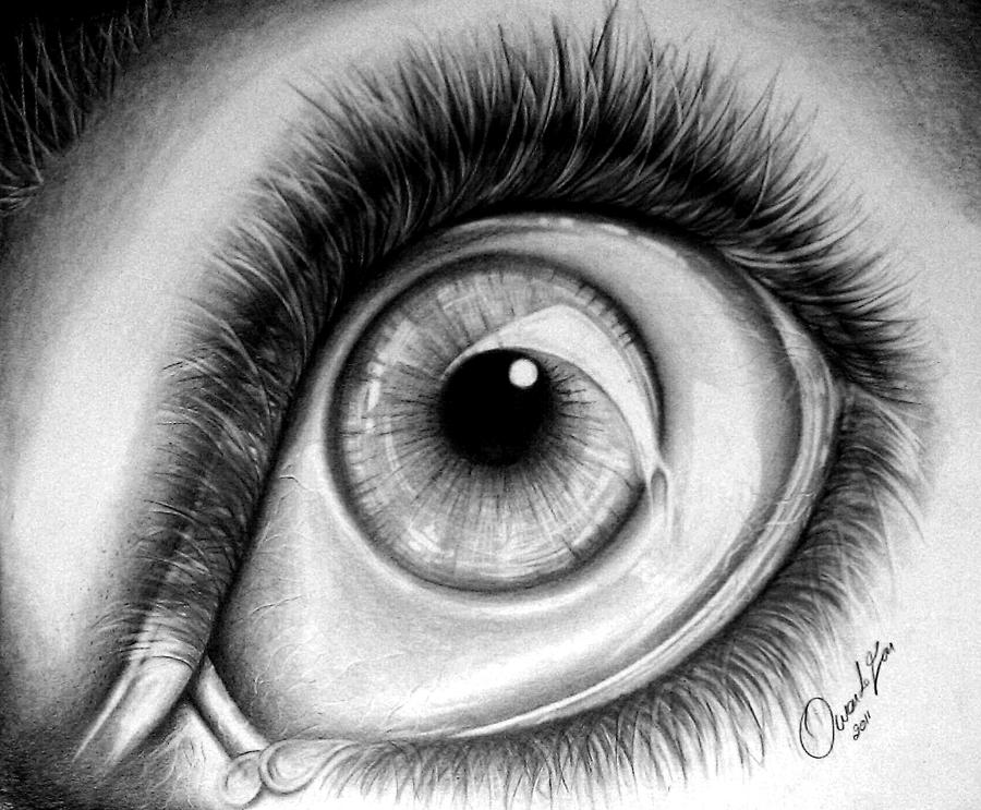 900x743 Realistic Eye Drawing - Realistic Art Drawings