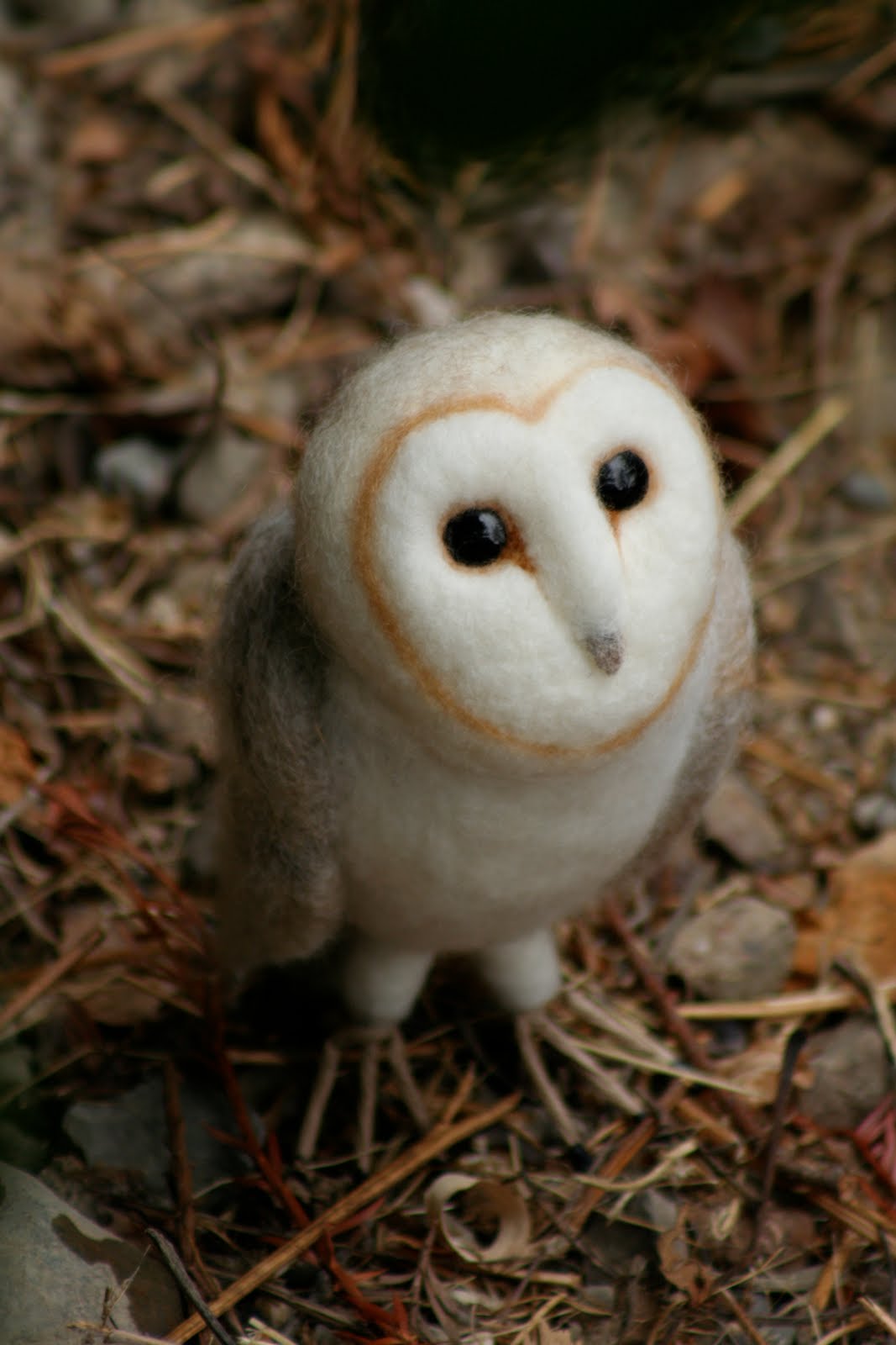 1067x1600 how to draw a realistic barn owl - Realistic Barn Owl Drawing