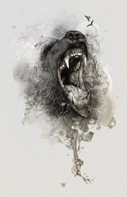 540x837 image result for how to draw a realistic barn owl drawings - Realistic Barn Owl Drawing