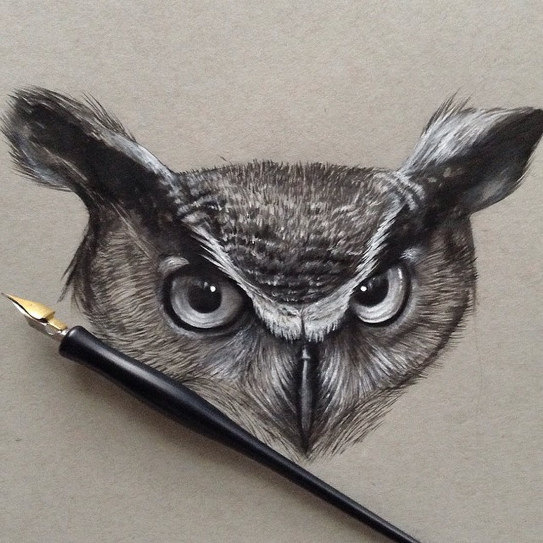 Realistic Barn Owl Drawing at Explore collection