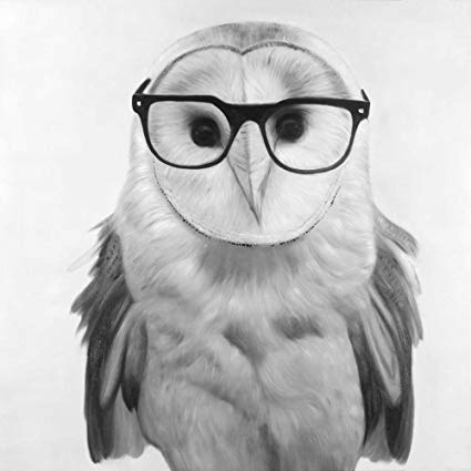 425x425 realistic barn owl with glasses poster print - Realistic Barn Owl Drawing