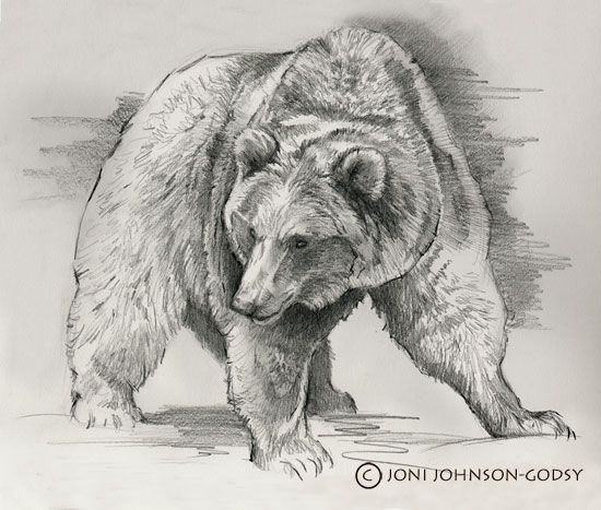 Realistic Bear Drawing At Explore Collection Of