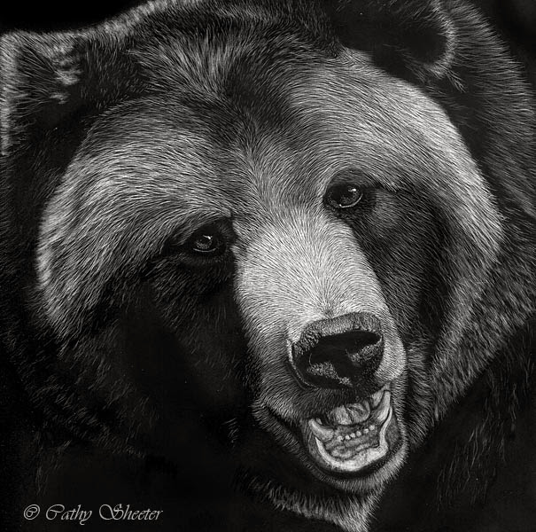 605x600 realistic animal drawings realistic animal drawing grizzly bear head - Realistic Bear Drawing
