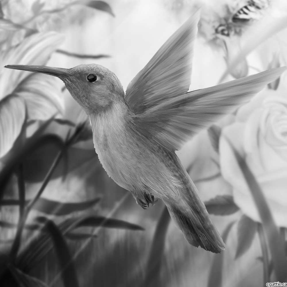 Realistic Bird Drawing at PaintingValley.com | Explore collection of ...