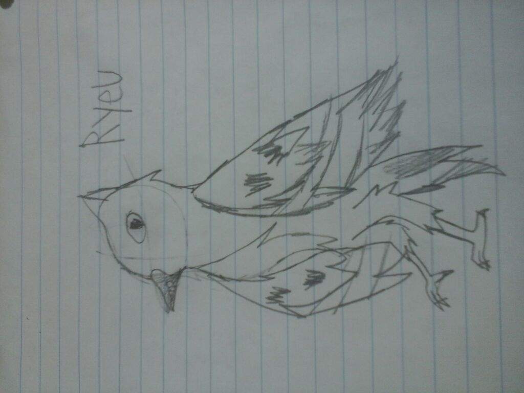 1024x768 ryeu the mourning dove + realistic bird drawings birds amino amino - Realistic Bird Drawing