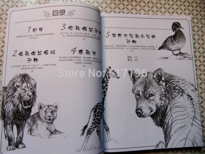 720x540 new tattoo book drawing realistic animals book tattoo flash sketch - Realistic Book Drawing