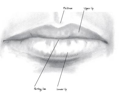 411x321 Secrets To Drawing Realistic Faces - Realistic Book Drawing