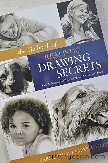 365x550 The Big Book Of Realistic Drawing Secrets - Realistic Book Drawing
