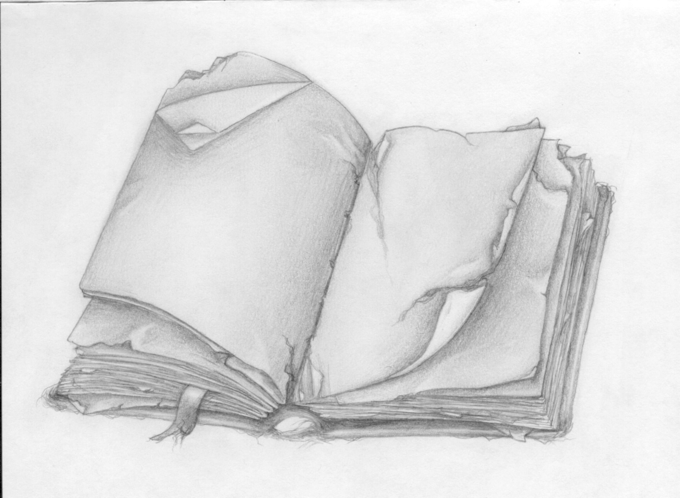 2251x1650 This Would Be A Perfect One For My Wristhmmmi Like This - Realistic Book Drawing