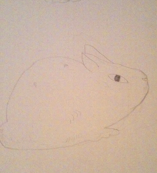 320x351 I Wanted To Draw A More Realistic Bunny So Bun Chan Was Created - Realistic Bunny Drawing