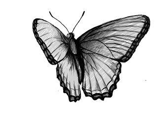 320x262 How To Draw A Butterfly - Realistic Butterfly Drawing