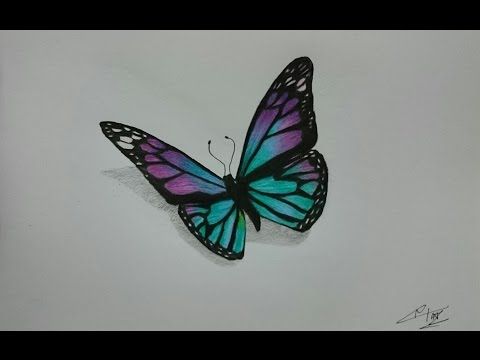 480x360 How To Draw A Realistic Butterfly With Colored Pencils - Realistic Butterfly Drawing