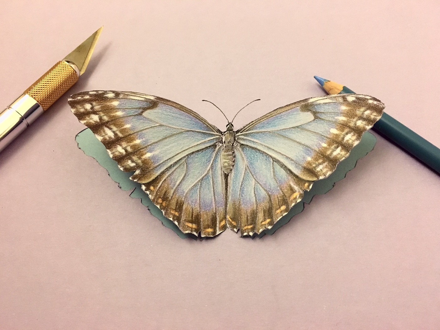 1400x1050 blue butterfly cutout paper art drawing on behance - Realistic Butterfly Drawing