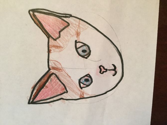 670x503 How To Draw A Realistic Cat's Face Steps - Realistic Cat Drawing