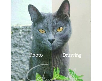 340x270 Pet Portrait Realistic Cat Drawing With Withe Frame And Red Etsy - Realistic Cat Drawing