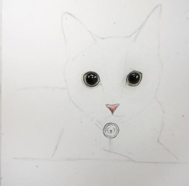 640x631 Realistic Cat Drawing - Realistic Cat Drawing