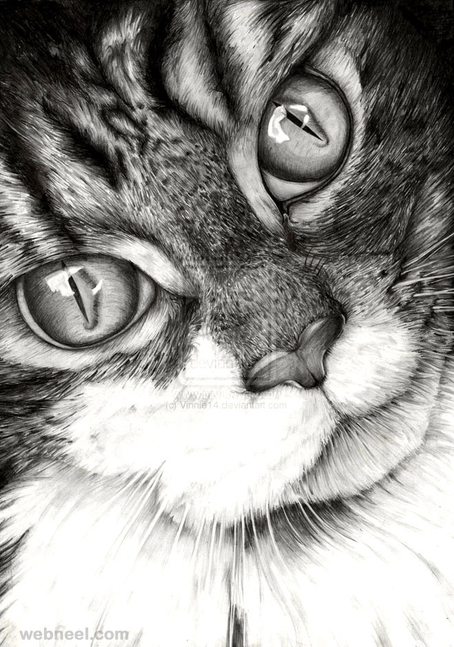 660x940 Realistic Cat Drawing - Realistic Cat Drawing