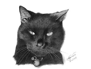 300x227 Realistic Cat Drawing Art Fine Art America - Realistic Cat Drawing