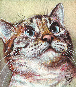 265x300 Realistic Cat Drawing Paintings Fine Art America - Realistic Cat Drawing