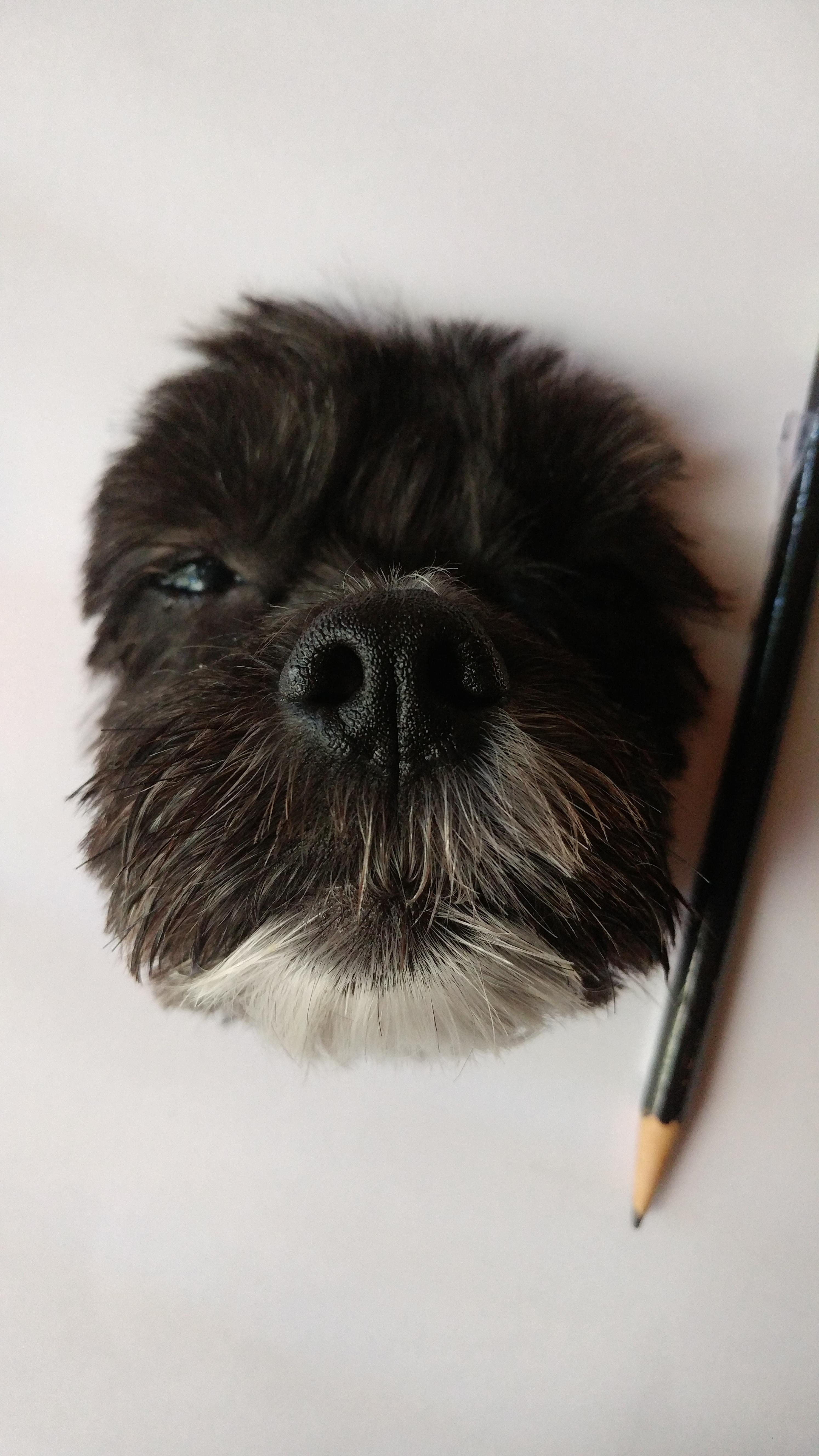 2988x5312 Saw Someone Draw A Super Realistic Cat, So I Took A Swing - Realistic Cat Drawing