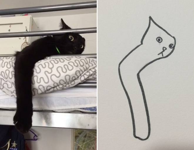 660x510 Super Realistic Drawings Of Cats - Realistic Cat Drawing