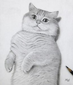 258x300 Cats Original Animal Artwork - Realistic Cat Drawing