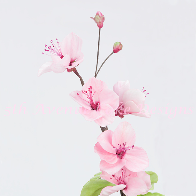 654x654 Gumpaste Cherry Blossom Tutorial Bobbies Baking Blog - Realistic Cherry Blossom Drawing
