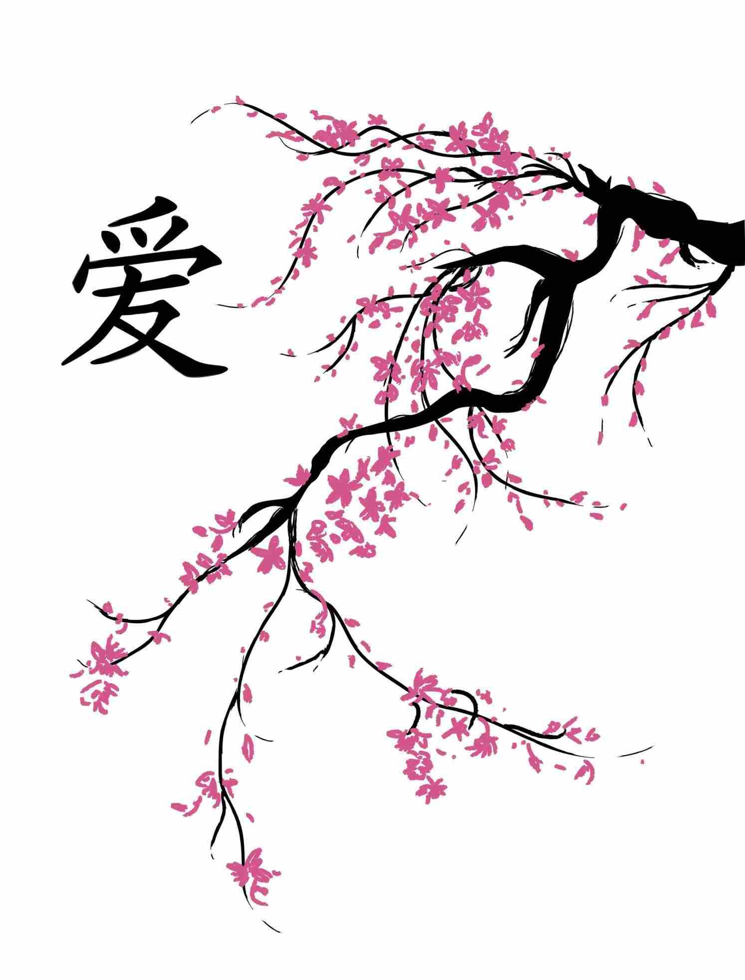 Sakura Flower Drawing Cherry Blossom Drawing Outline - Cherry Blossom