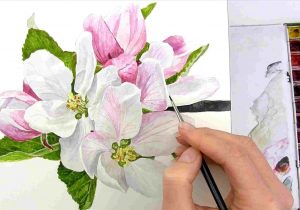 300x210 cherry blossom drawing cherry blossom japanese pink stock - Realistic Cherry Blossom Drawing