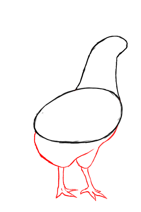 450x675 How To Draw A Chicken - Realistic Chicken Drawing