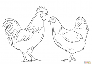 300x210 how to draw a realistic chick with how to draw a chicken step - Realistic Chicken Drawing
