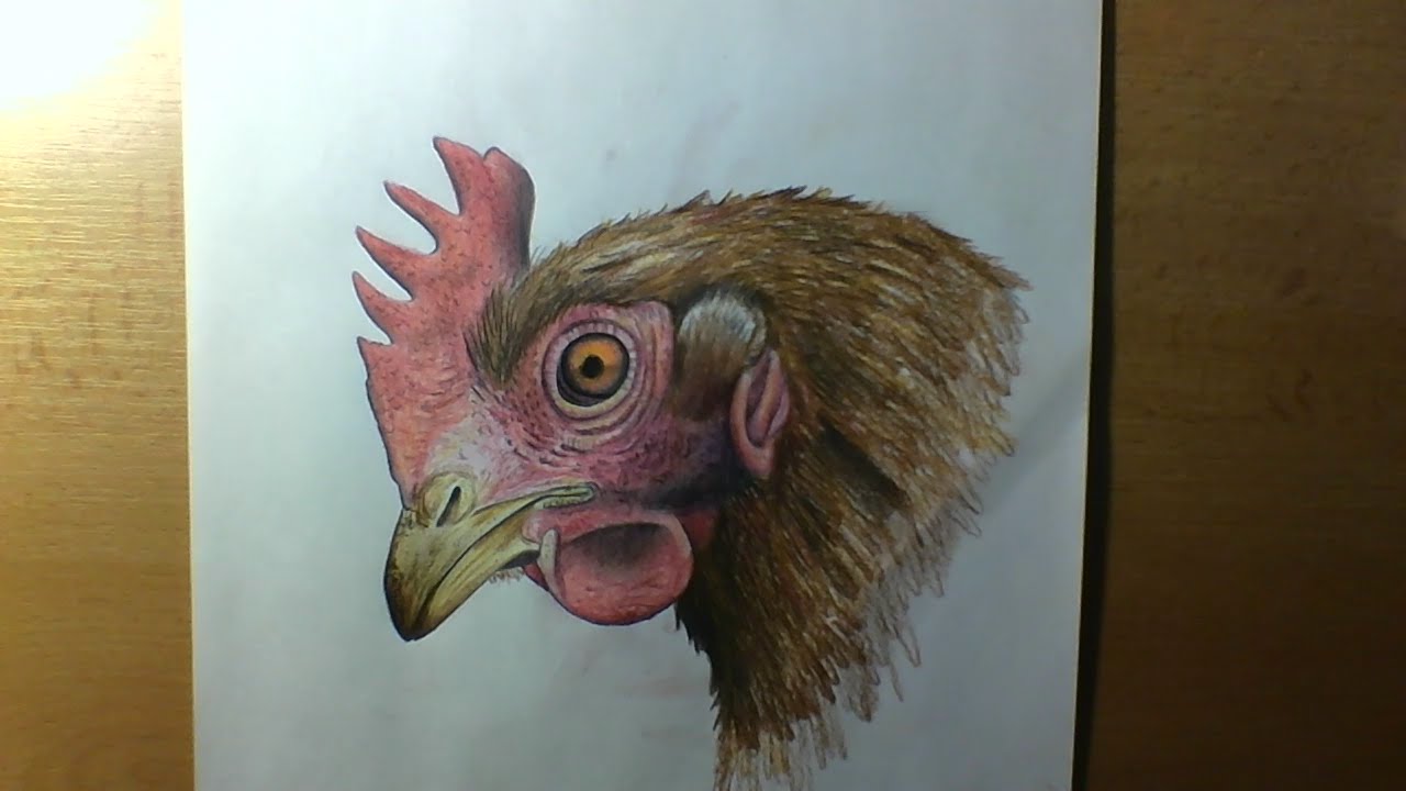 1280x720 Kresba Slepice Drawing Hen - Realistic Chicken Drawing