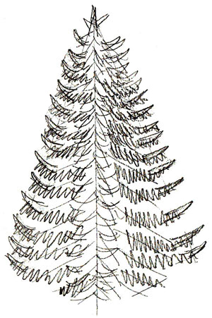 300x451 How To Draw A Christmas Tree - Realistic Christmas Tree Drawing