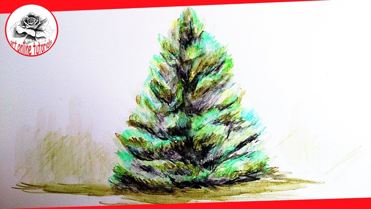 1280x720 how to draw a realistic tree with watercolor pencils asmr - Realistic Christmas Tree Drawing