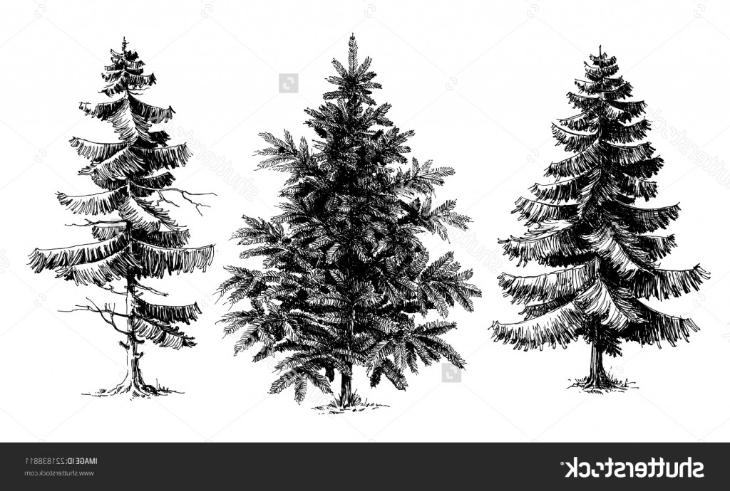 1024x690 images of christmas trees to draw halloween holidays wizard - Realistic Christmas Tree Drawing
