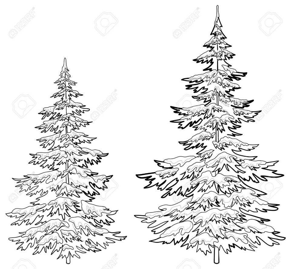960x886 Birthdays Christmas Tree Drawing - Realistic Christmas Tree Drawing