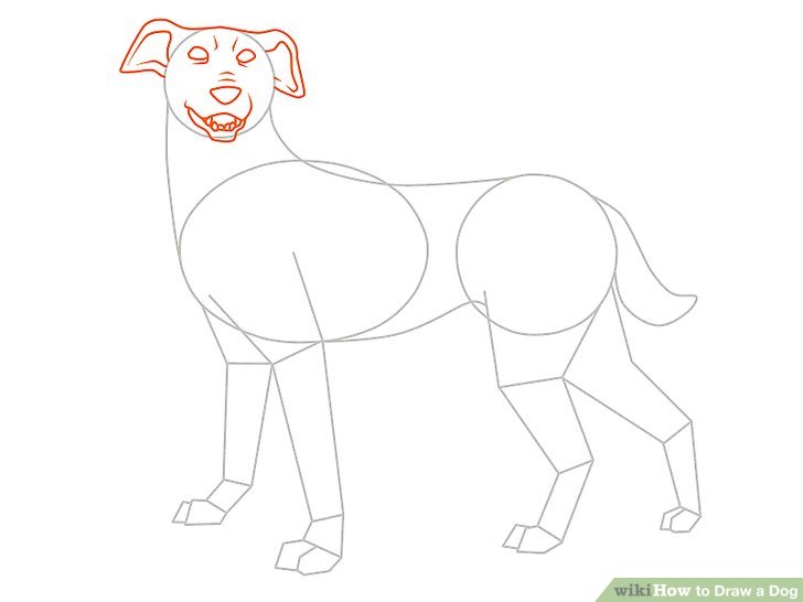 728x546 Easy Ways To Draw A Dog - Realistic Dog Drawing Step By Step